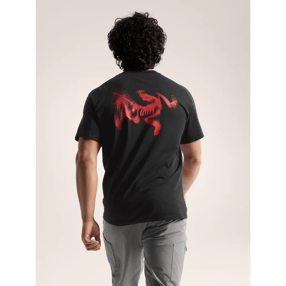 Arc'Teryx Kragg SL Cotton Blurred Bird Short Sleeve Shirt Men's - Image 2