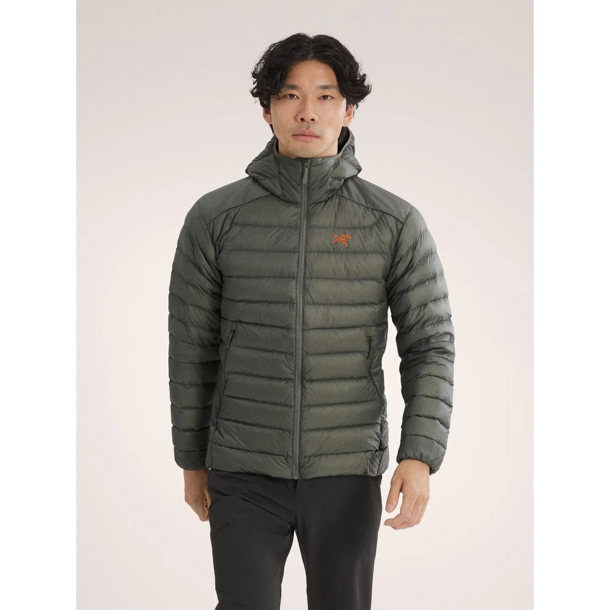 Arc'teryx Men's Cerium Hoody