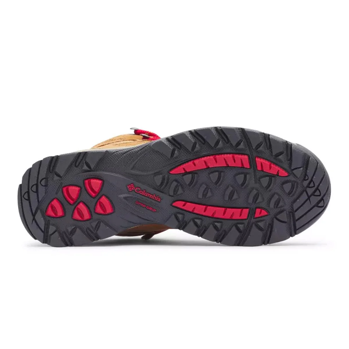 Columbia Newton Ridge Plus Waterproof Amped - Women's - Image 4