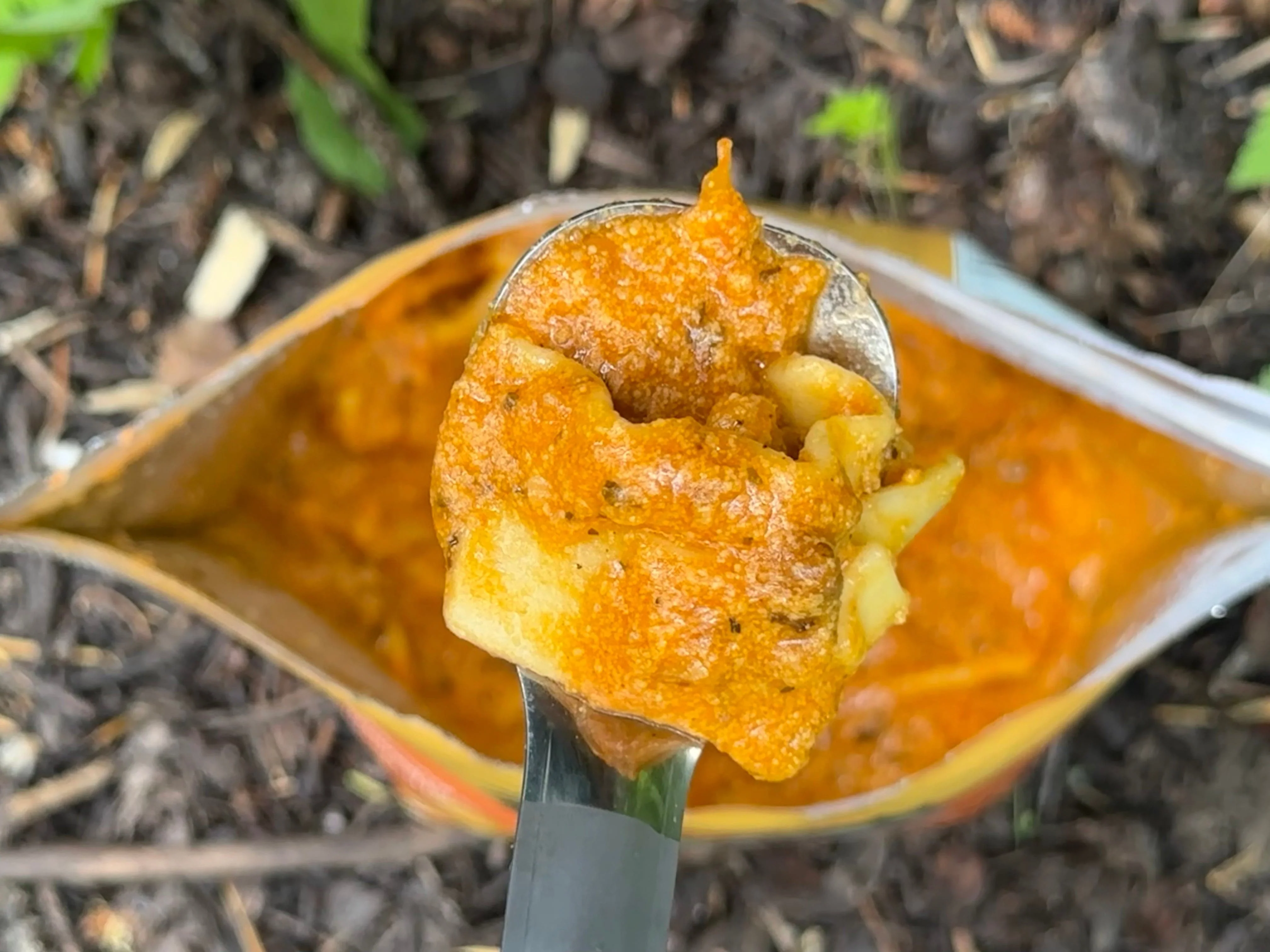 FOUNDATION Outdoors Lasagna Meal - Image 2