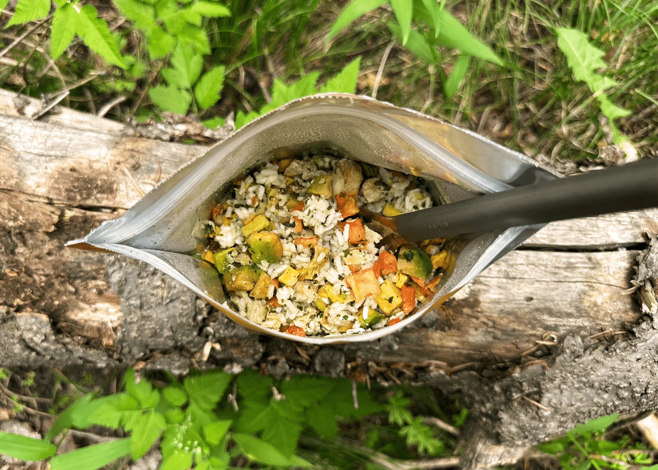 FOUNDATION Outdoors Lime Chicken with Avocado, Mango Salsa Meal - Image 4