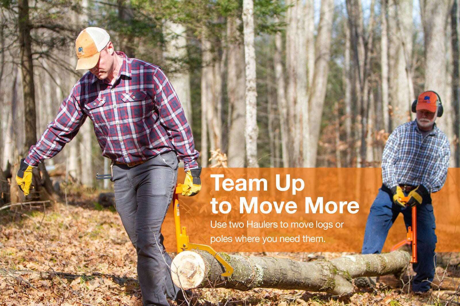 LogOX Forester Package - Image 15