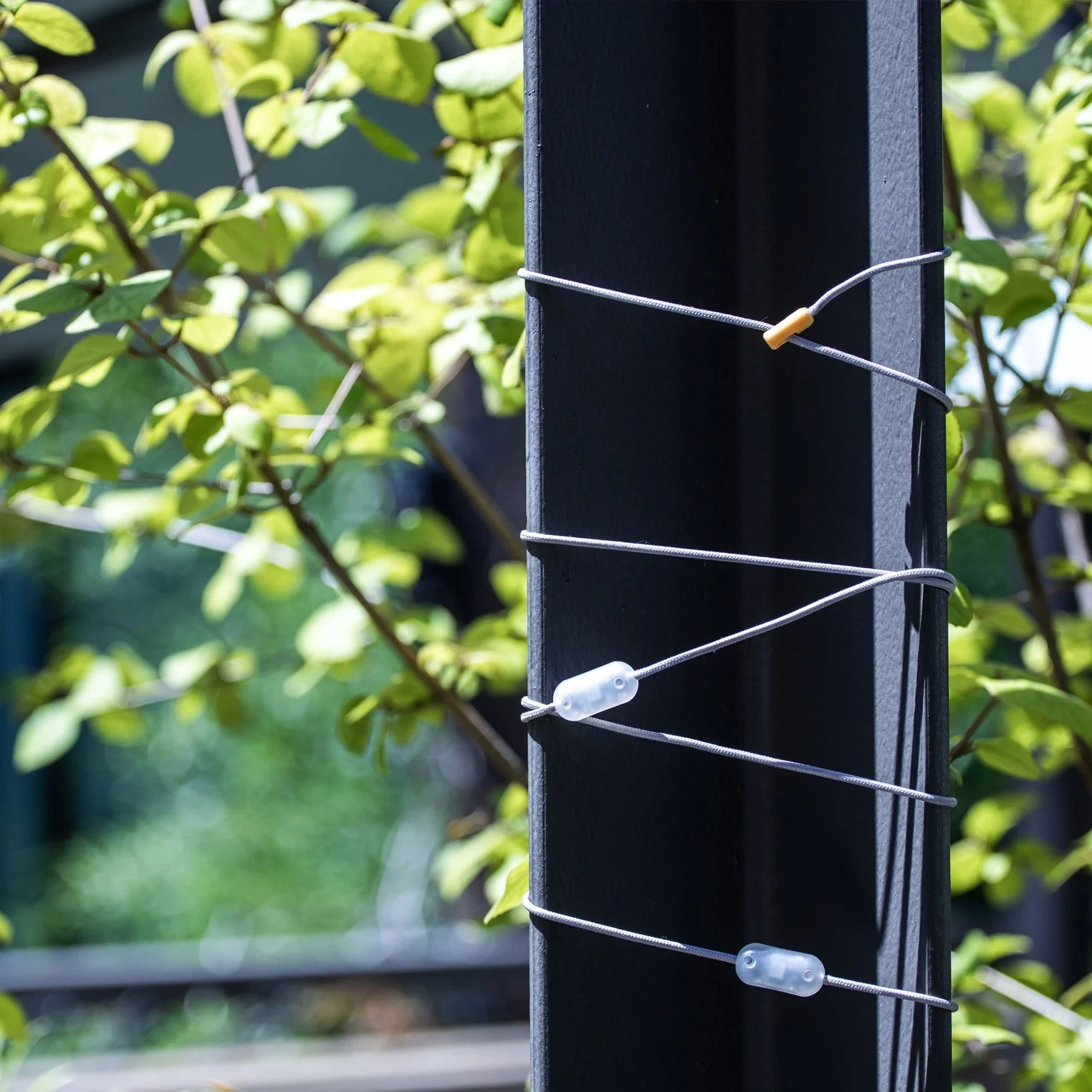 Mpowerd Luci Solar String Lights - Color 18' - Image 7