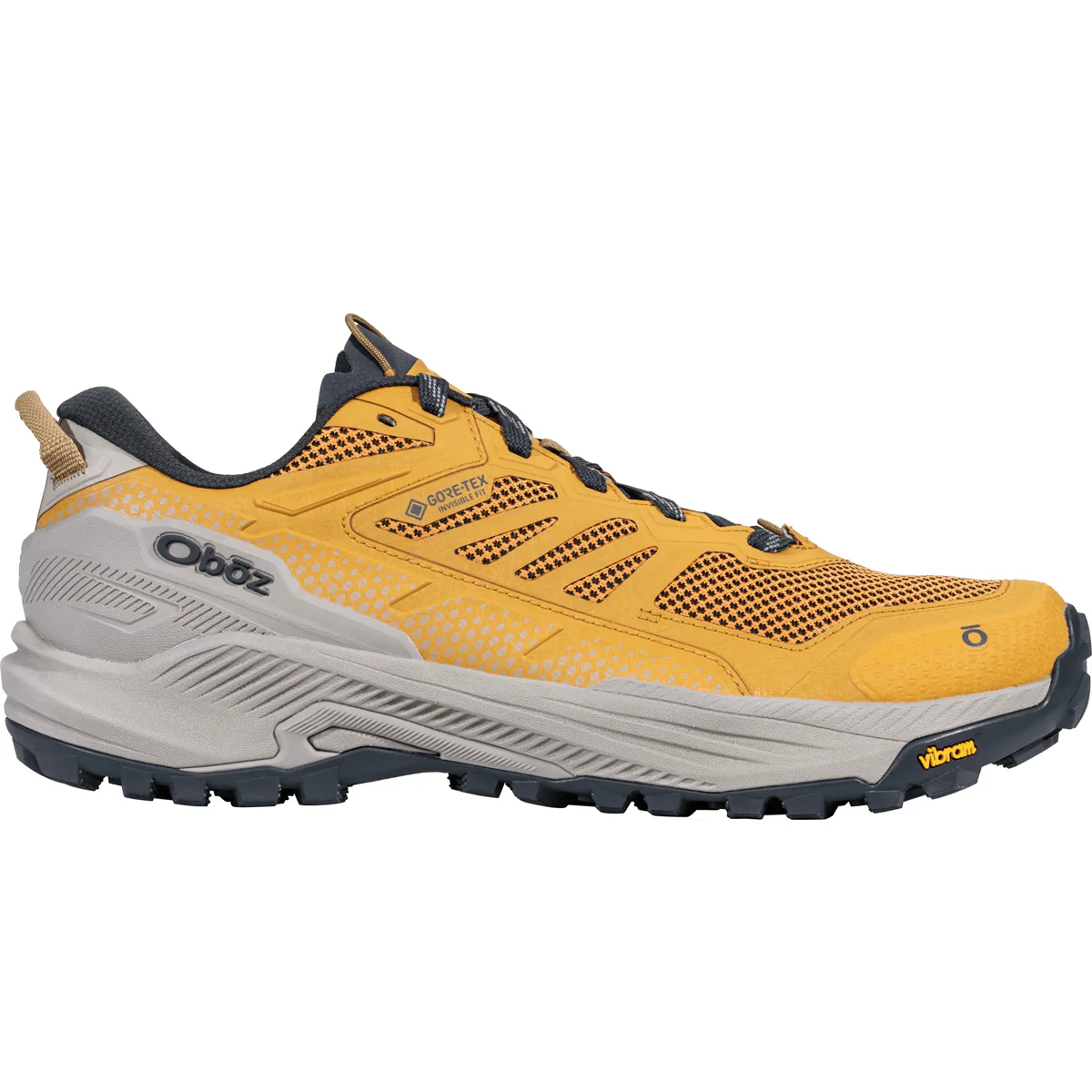 Oboz Men's Katabatic RT Low GTX Waterproof Hiking Shoes - Image 6