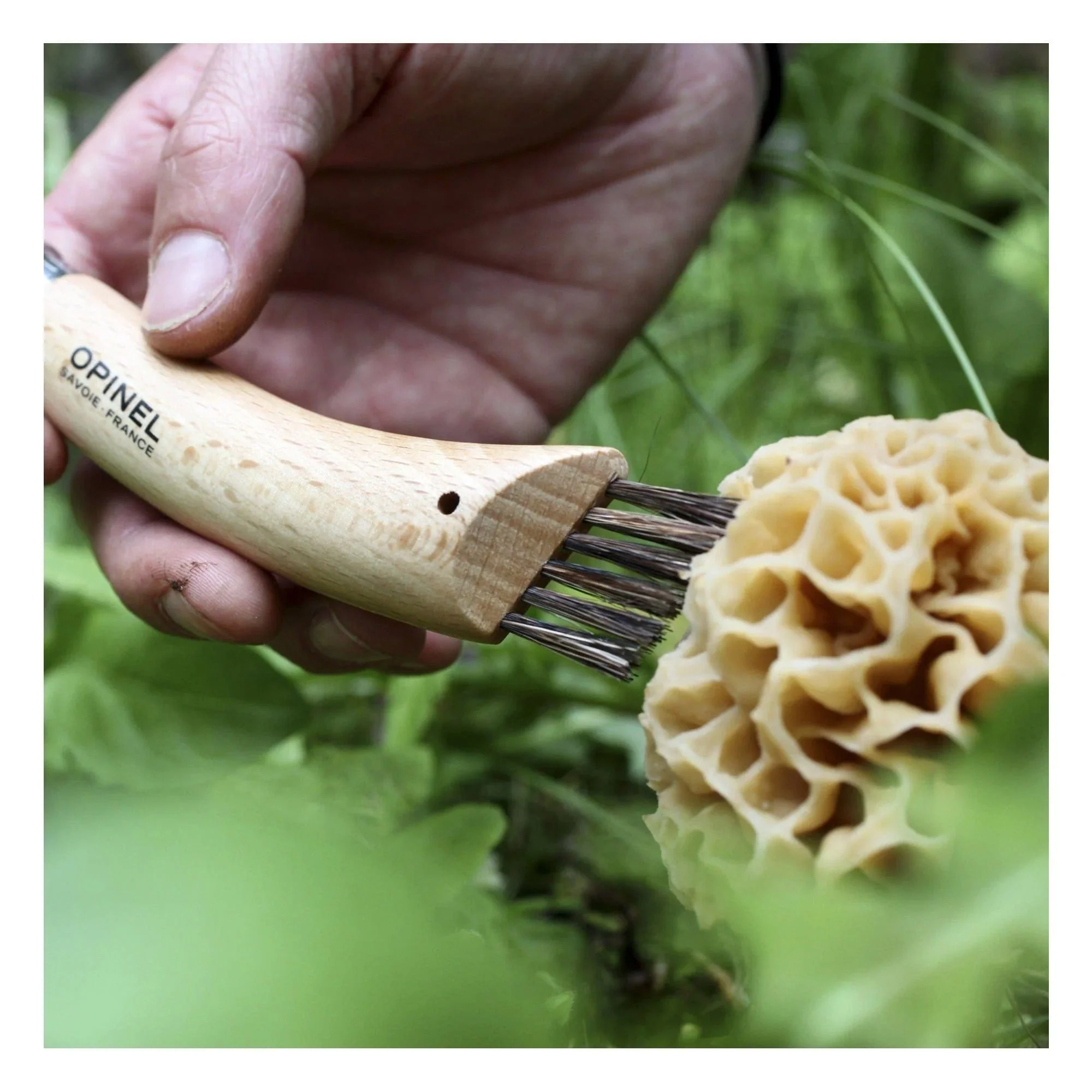Opinel No.08 Stainless Steel Mushroom Knife - Image 4