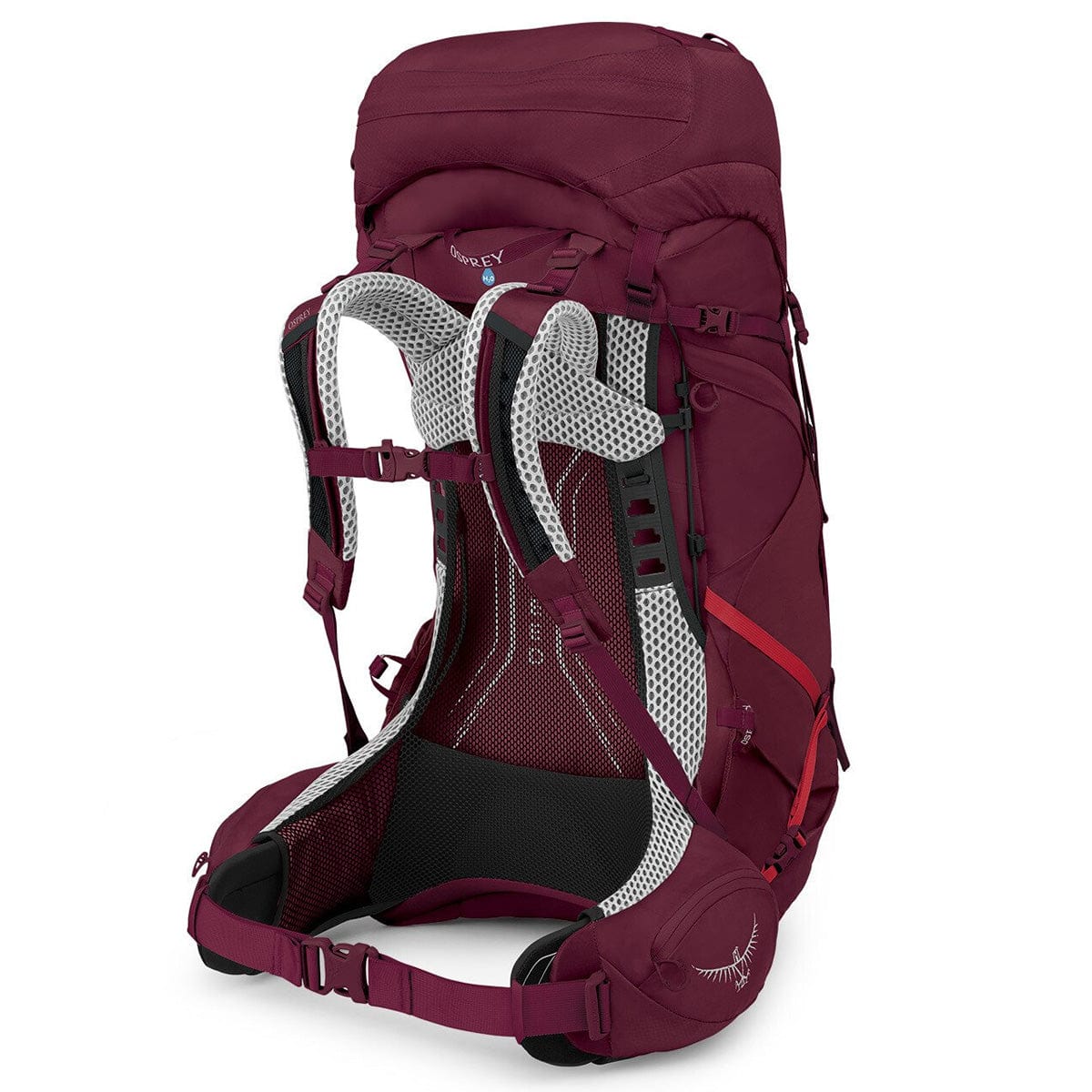Osprey Aura AG LT 50 Women's Backpacking Pack - Image 6