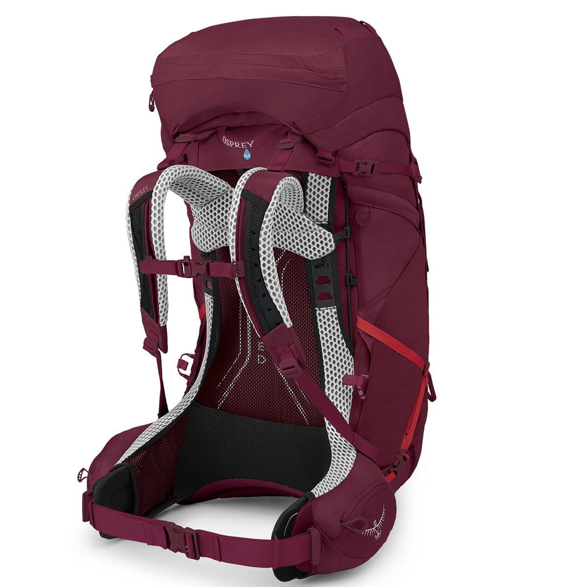 Osprey Aura AG LT 65 Women's Backpacking Pack - Image 2