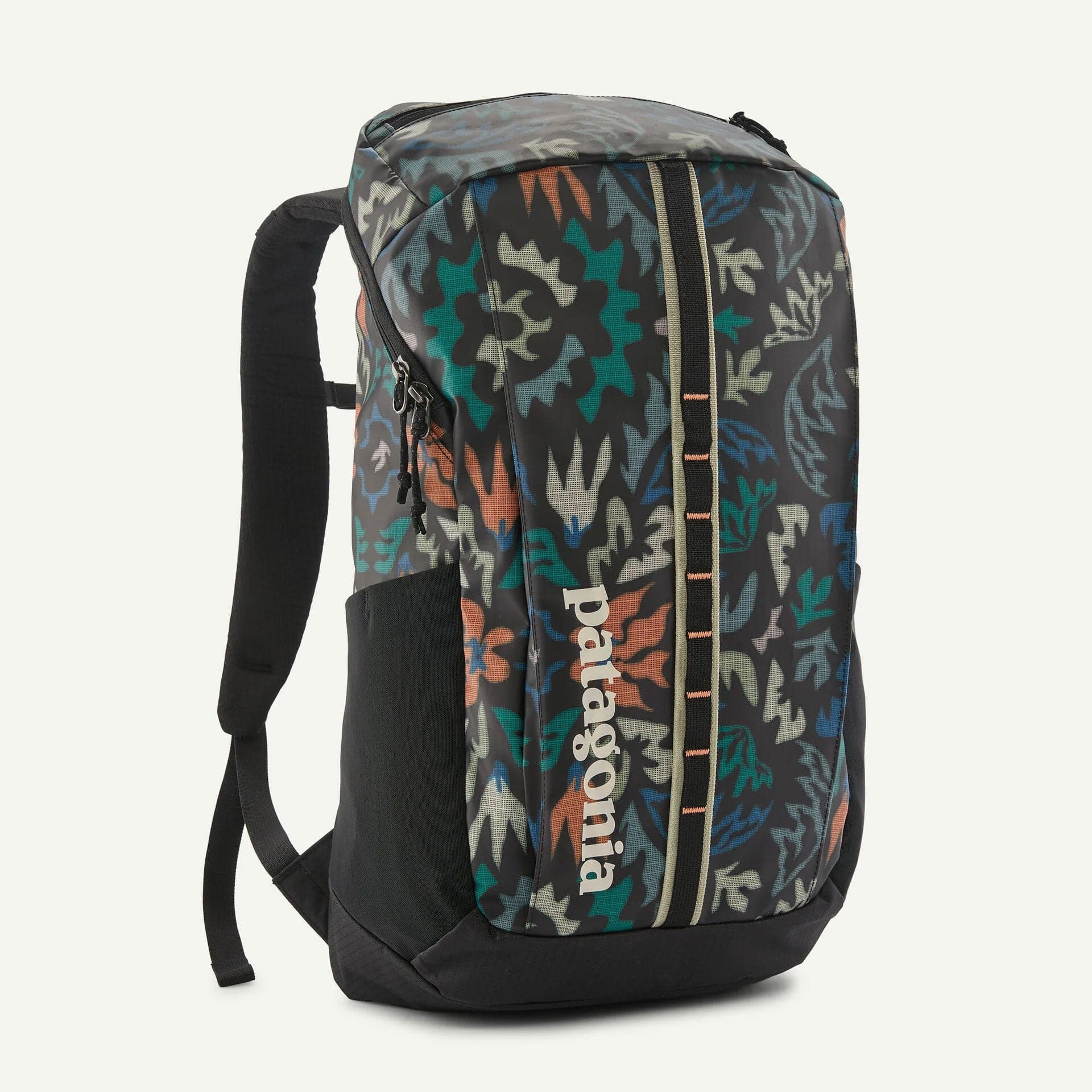 Patagonia Black Hole® 25L Daypack