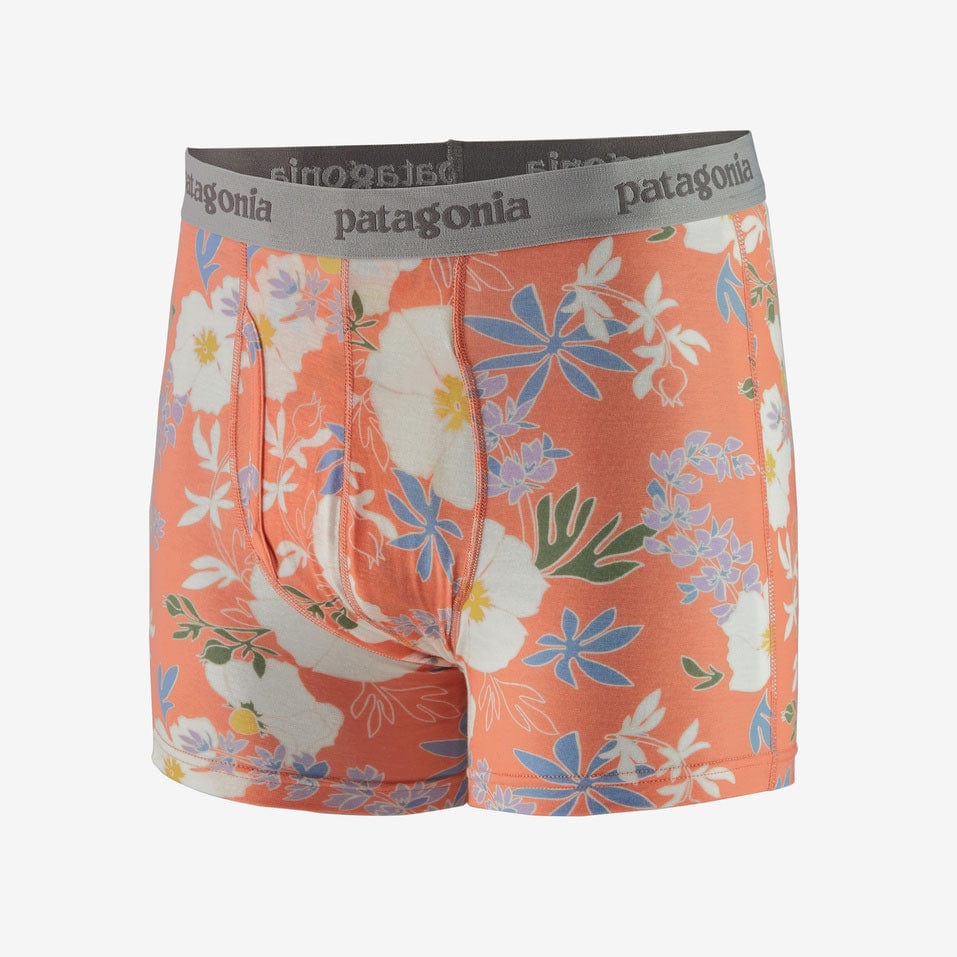 Patagonia Mens Essential Boxer Briefs - 3" - Image 3