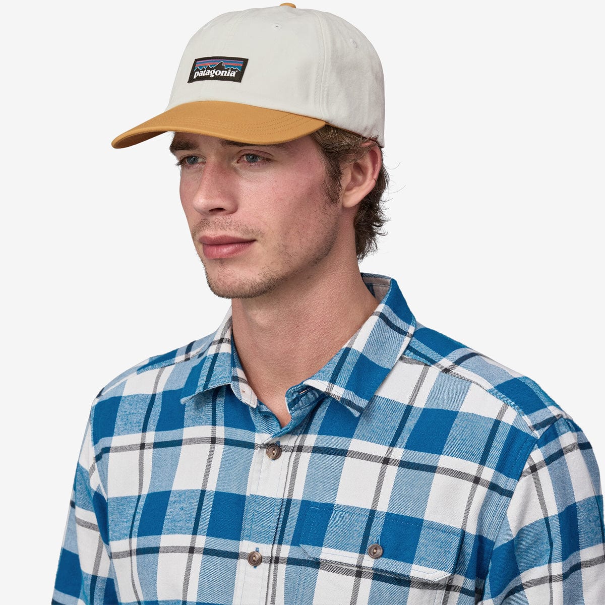 Patagonia P-6 Label Trad Cap - Image 11