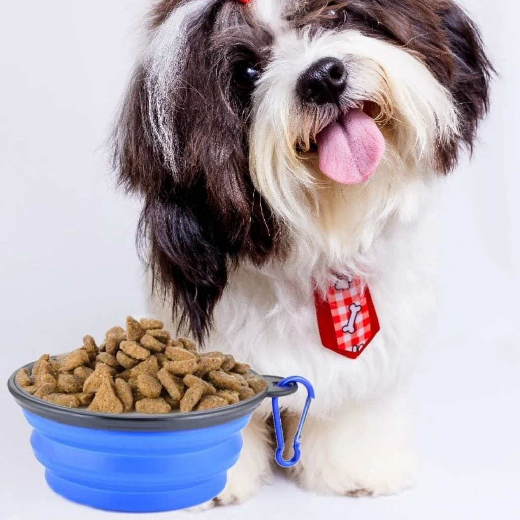 PocoPet Collapsible Travel Dog Bowl - Image 6