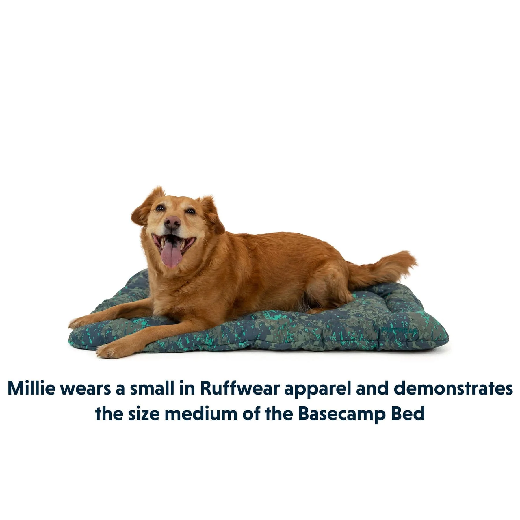 Ruffwear Basecamp 30x48 Dog Bed - Image 2