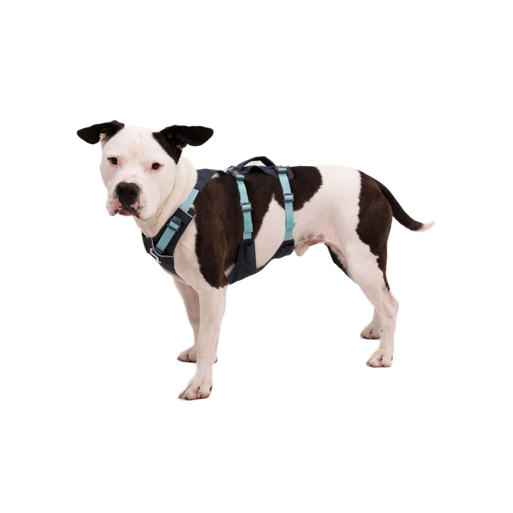 Ruffwear Flagline Harness - Image 3