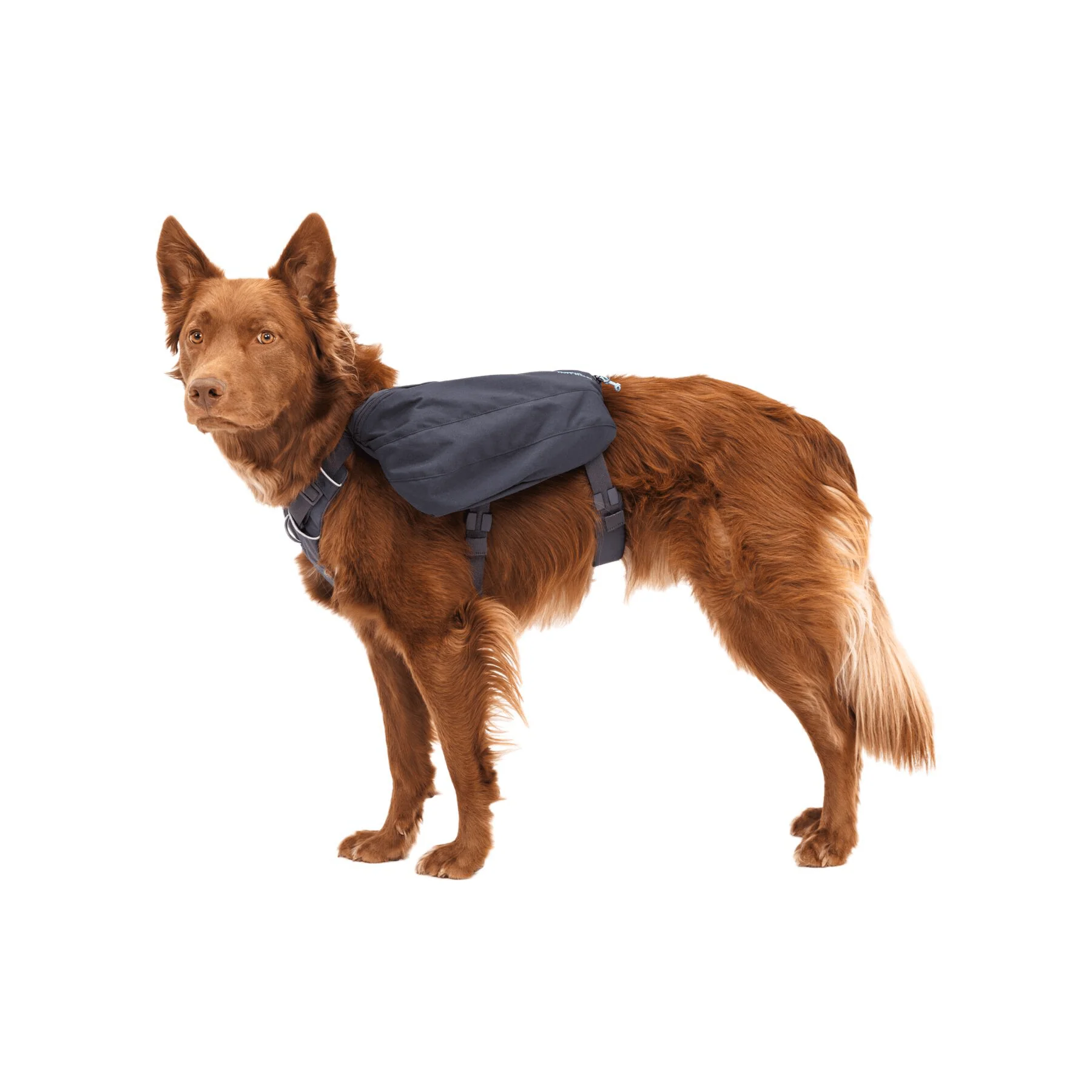 Ruffwear Front Range Day Pack - Image 5