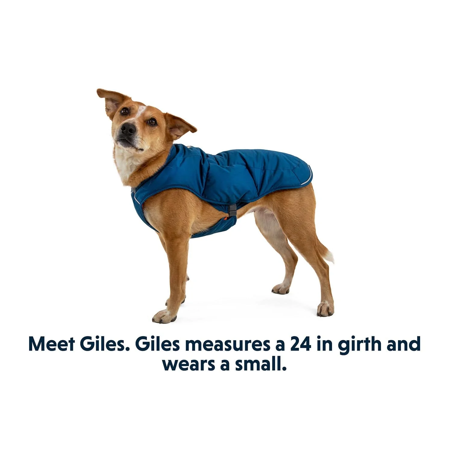 Ruffwear Quinzee Dog Jacket - Image 3