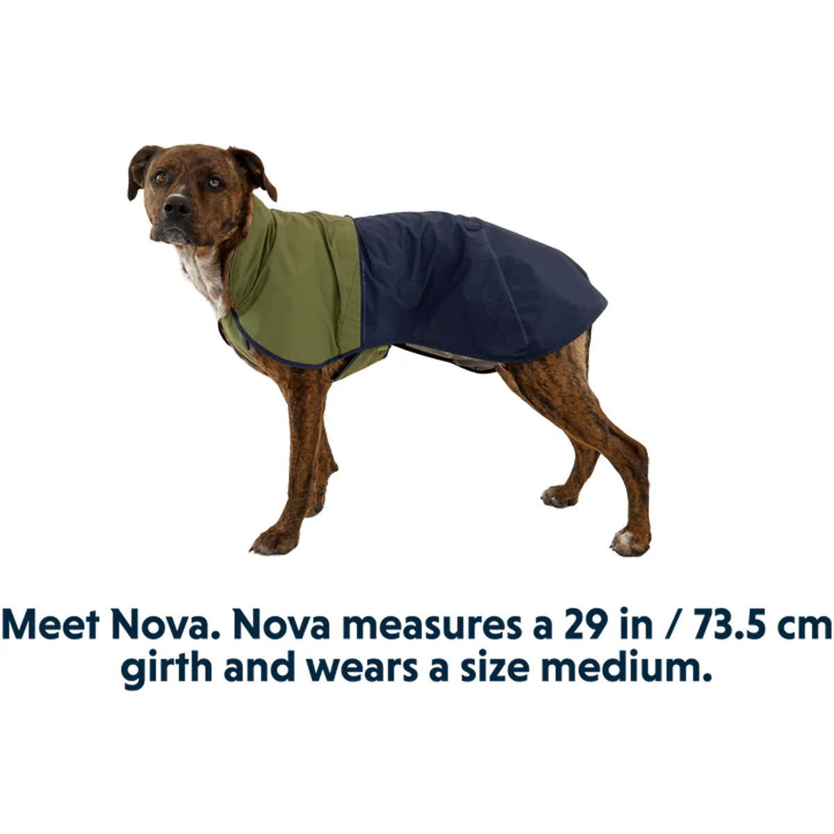 Ruffwear Sun Shower Jacket - Image 2