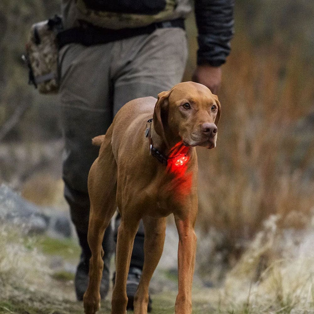 Ruffwear The Beacon Safety Light - Image 6