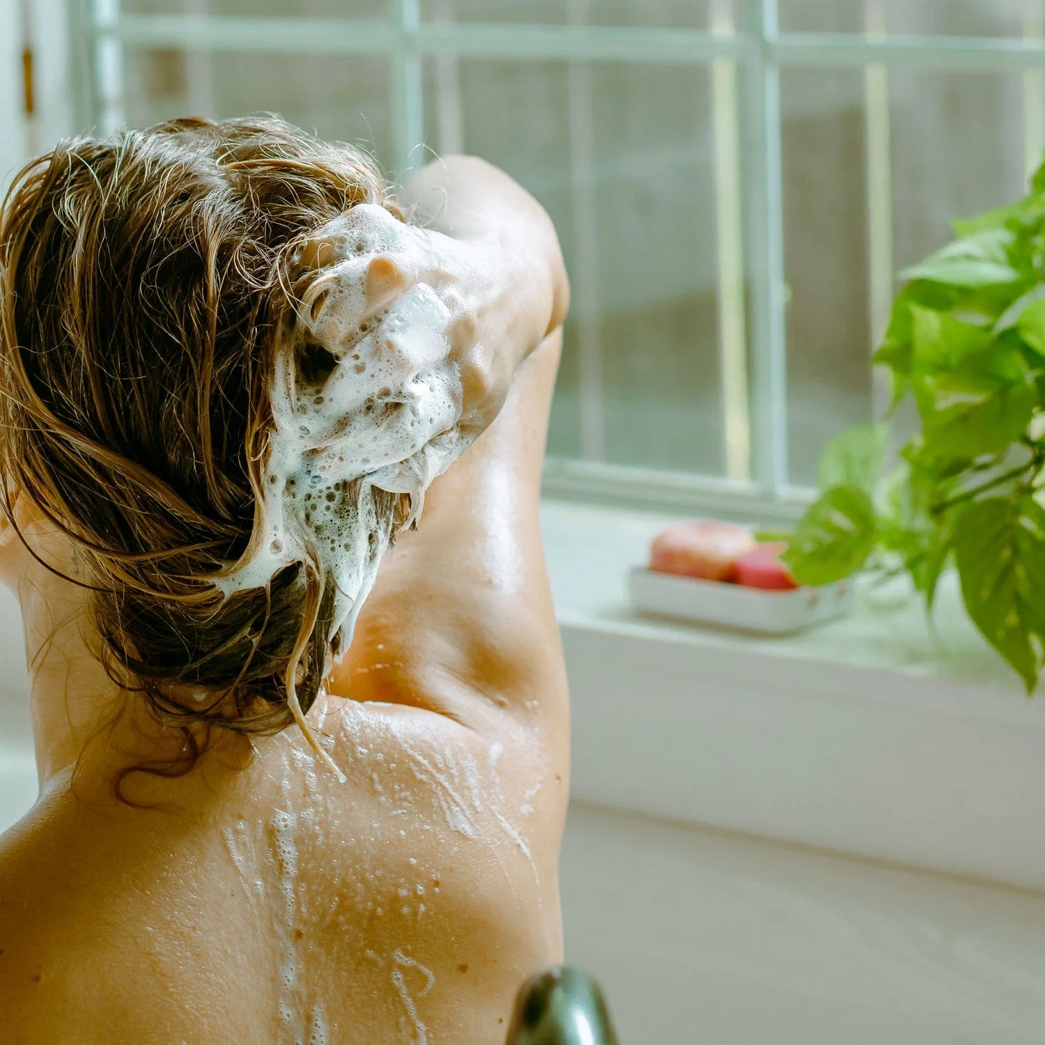 Zero Waste Shampoo & Conditioner Bar Duo - Image 4