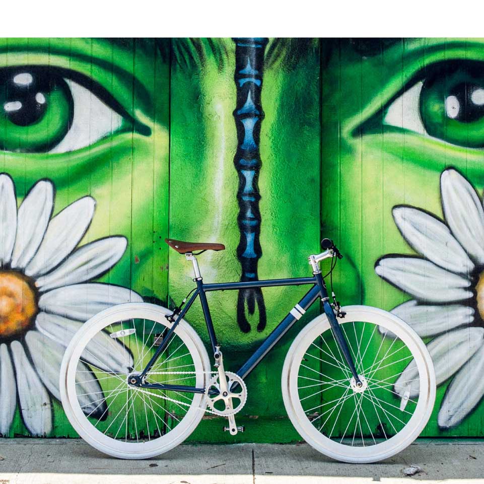 Sole Single Speed Bicycles the WHALER V2 Bike - Image 3