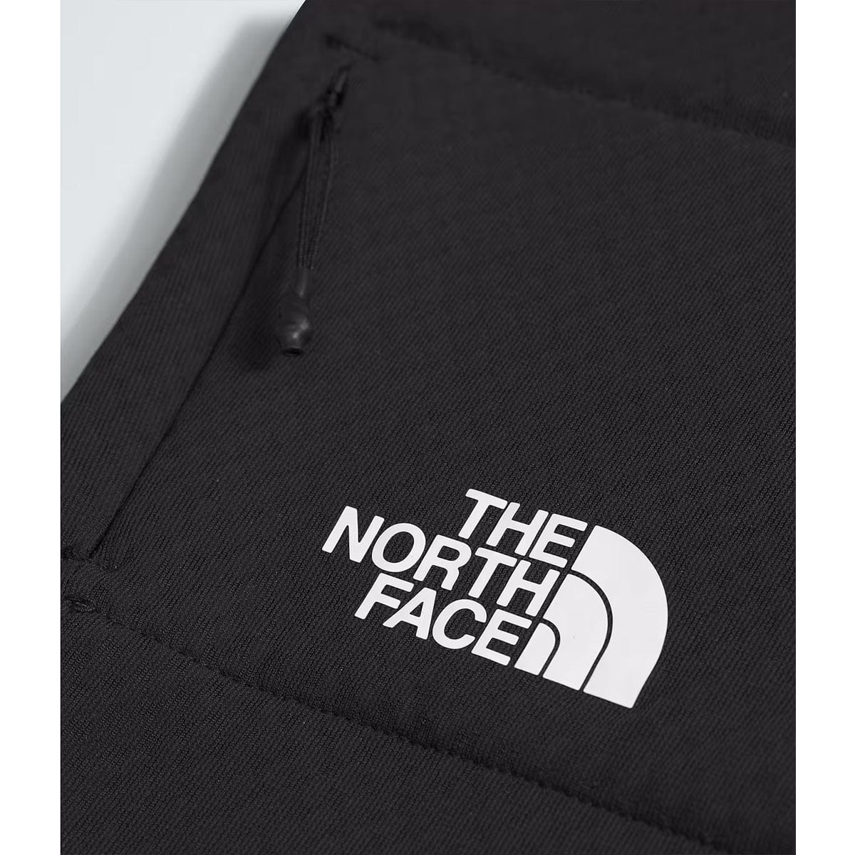 The North Face Men's Summit Futurefleece Pant - Image 4