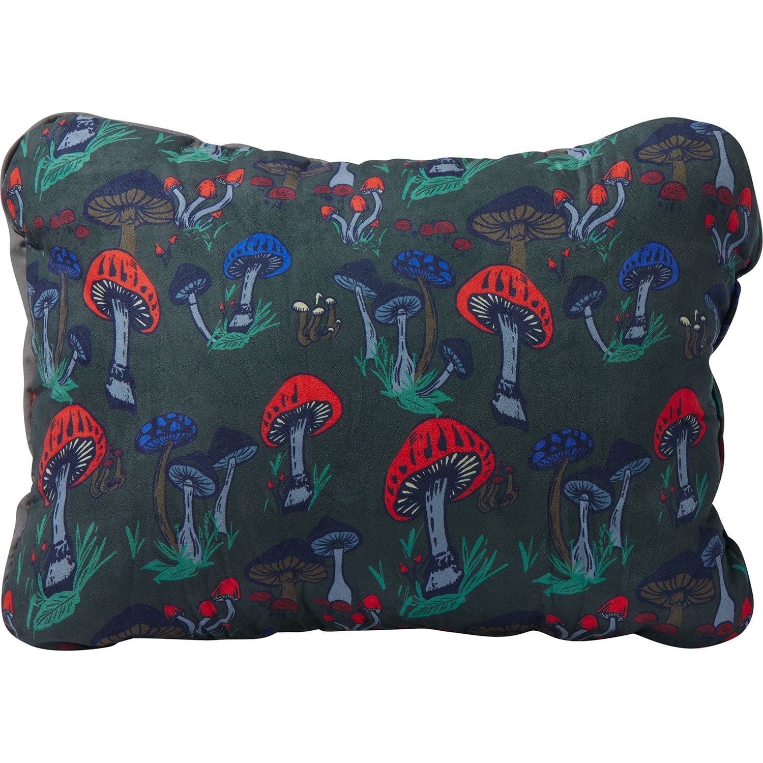 Therm-A-Rest Compressible Large Pillow Cinch - Image 2